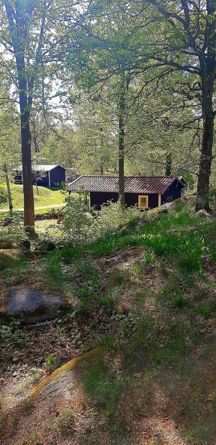 Kolleviks Camping Och Stugby 칼스함 외부 사진